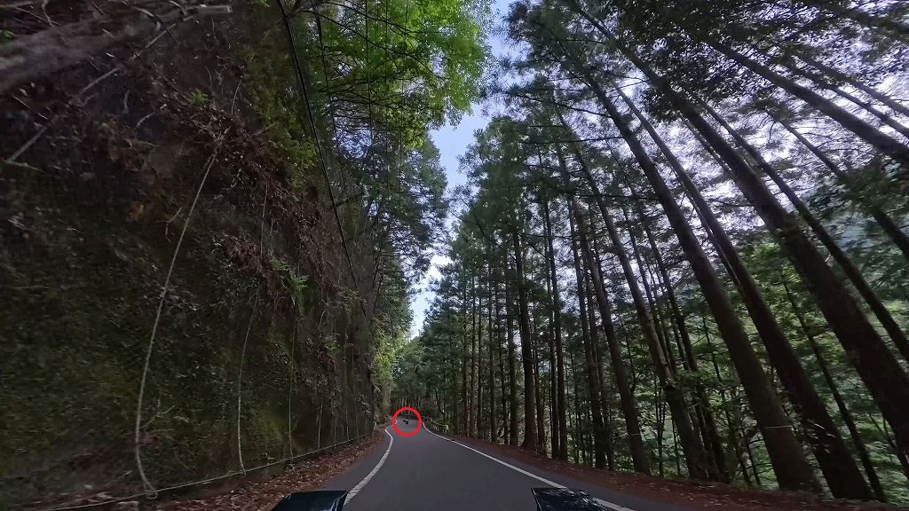 国道169号(北山〜上北山区間)